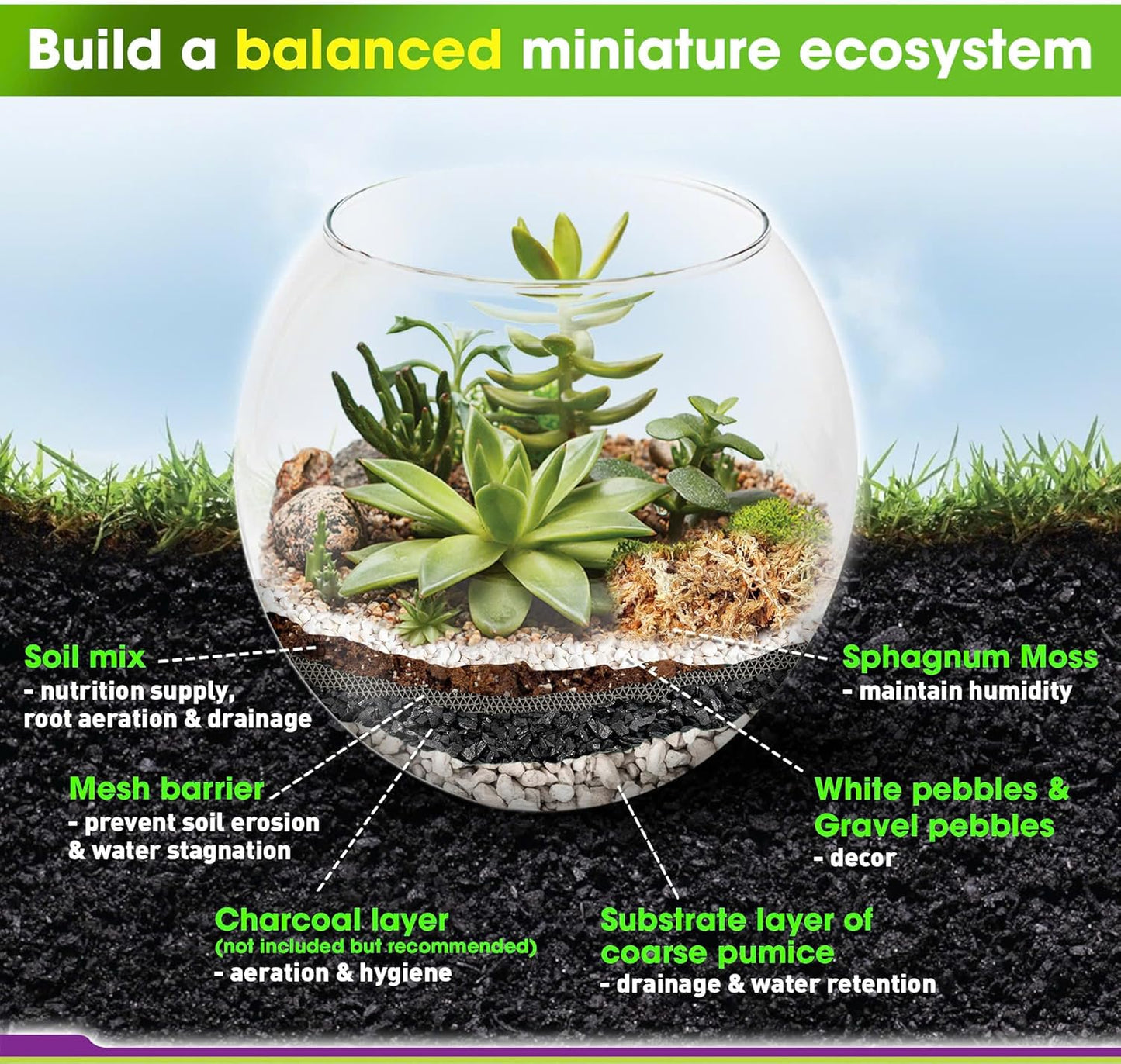 Terrarium Starter Kit, Coco Coir, Peat Moss, Pine Bark, Perlite, Pumice, Medium
