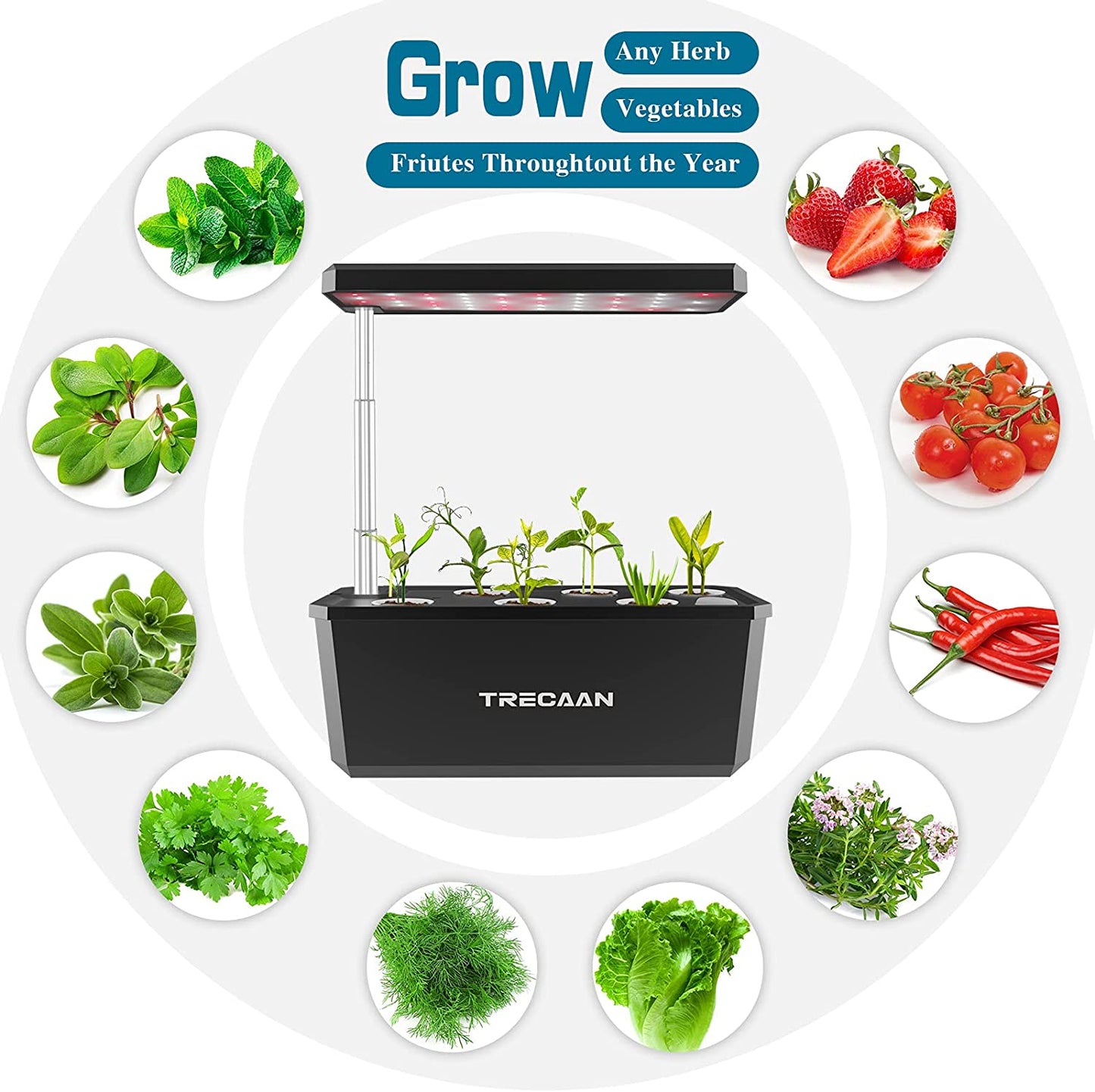 Hydroponics Growing System,2022 6 Pods Indoor Herb Garden with Grow Light 21 Inches (Black)