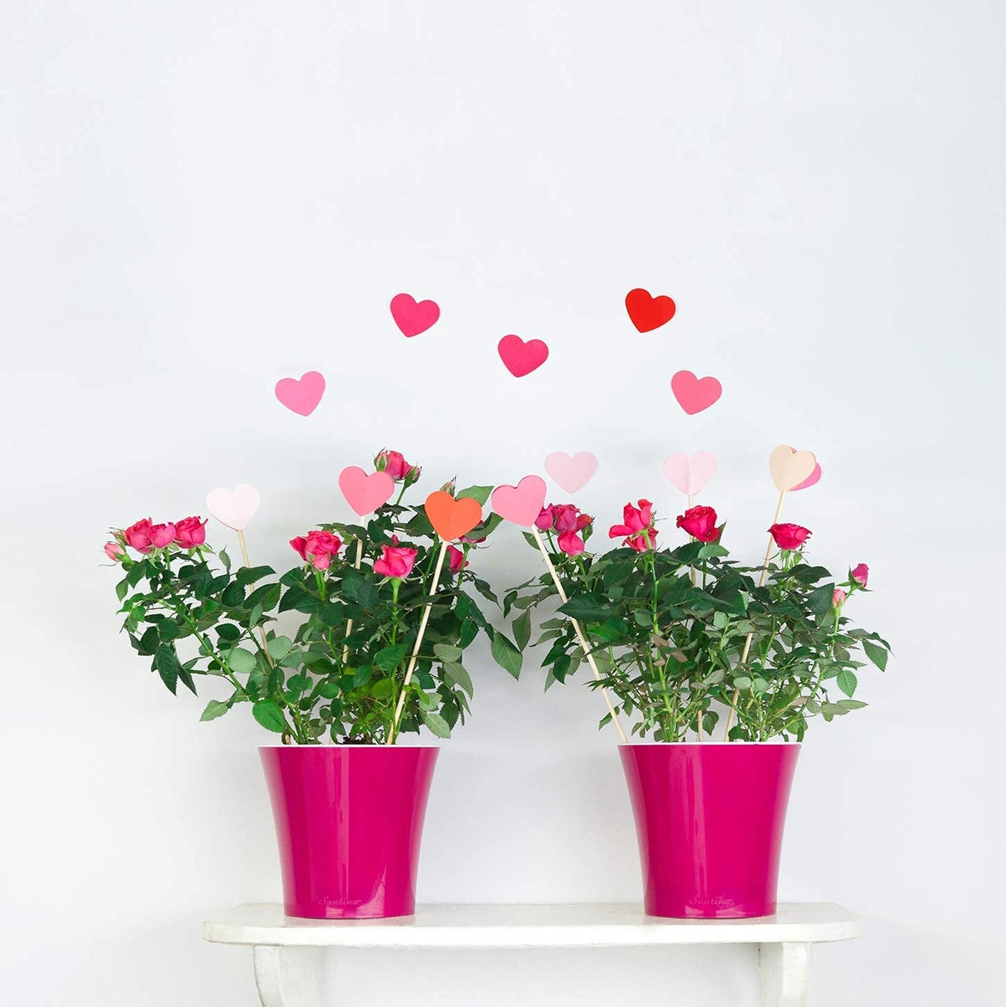 - 3 Pack - 8.6 Inch - Self Watering Planter - Indoor Flower Pot for All House Plants, Flowers, Herbs (Diameter 8.6", Black Gold/Black)