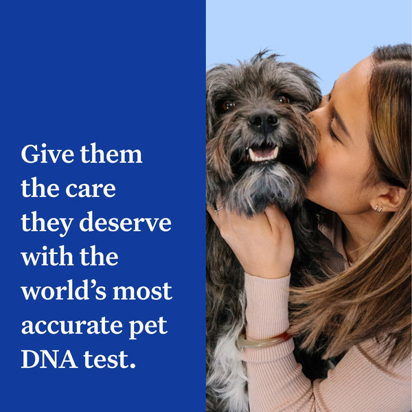 Essential, Breed Identification & Health Condition Identification, Dog DNA Test Kit