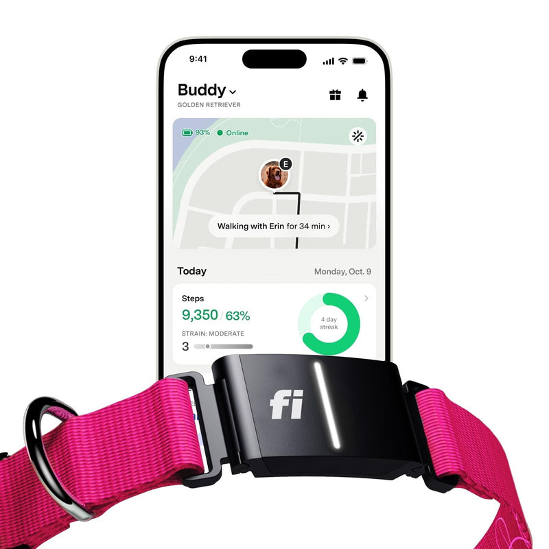 Fi Series 3 Smart Dog Collar - GPS Dog Tracker and Activity & Fitness Monitor...