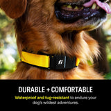 Fi Series 3 Smart Dog Collar - GPS Dog Tracker and Activity & Fitness Monitor...