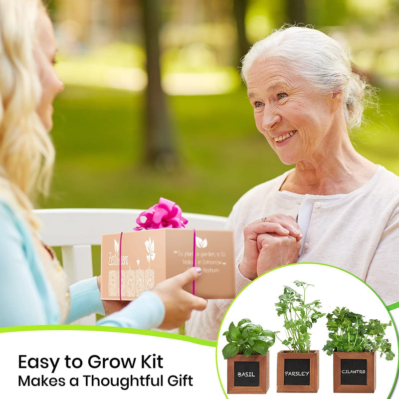 Indoor Herb Garden Kit - Includes 3 Wooden Herb Pots, Internal Drip Trays, Soil Pellets, Chalk, Instructions Booklet and Basil, Oregano & Thyme Non GMO Herb Seeds. DIY Kitchen Herbs Growing Kit.