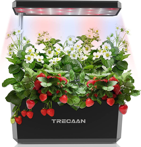 Hydroponics Growing System，2022  6 Pods Indoor Herb Garden with Grow Light 21 Inches (Black)