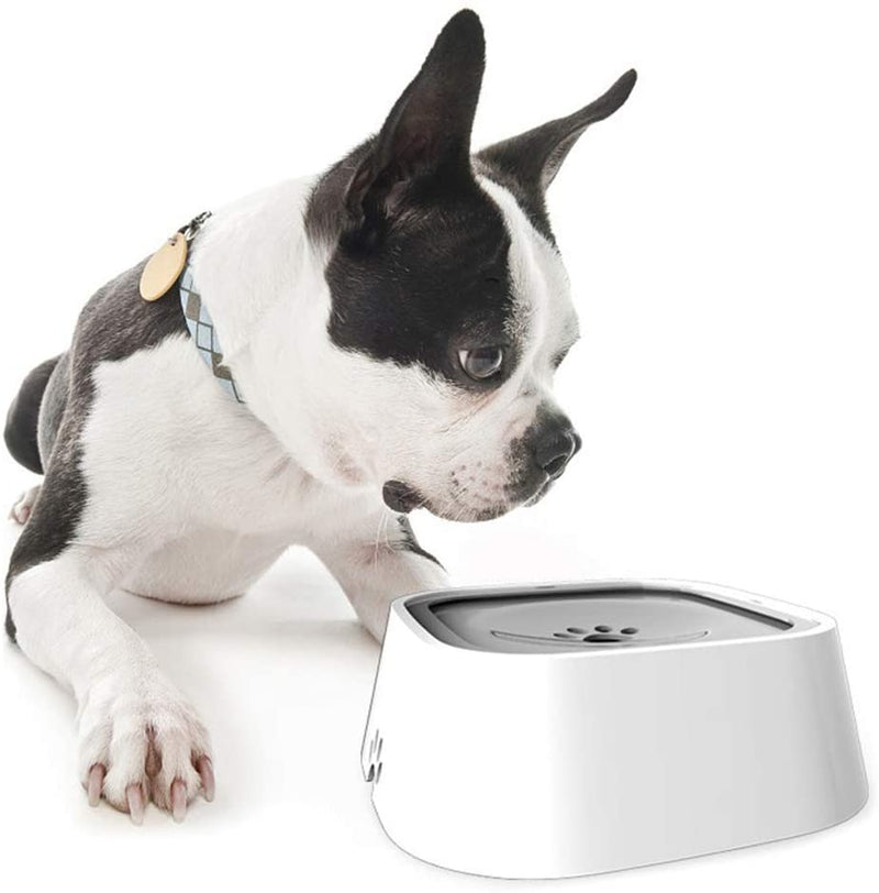 No-Spill Vehicle Dog Water Bowl