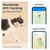 Cat Mini GPS Tracker with Activity Monitoring, Fits Any Collar (Dark Blue)