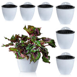 Self Watering Wall Planters for Indoor Plants 7 Pack | Outdoor Wall Planters | Medium 5 Inch with Hooks PL34