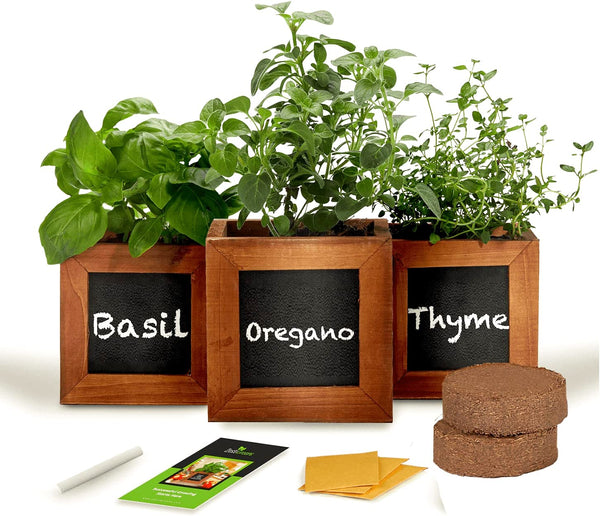 Indoor Herb Garden Kit - Includes 3 Wooden Herb Pots, Internal Drip Trays, Soil Pellets, Chalk, Instructions Booklet and Basil, Oregano & Thyme Non GMO Herb Seeds. DIY Kitchen Herbs Growing Kit.