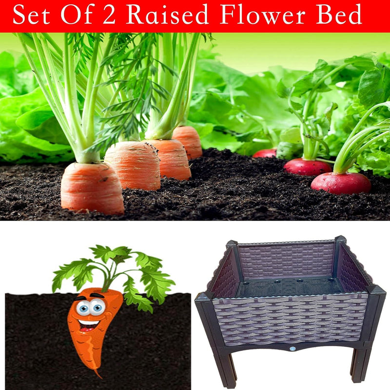 Plastic Raised Garden Bed, Raised Flower Bed, Vegetables Plant Raised Bed Kits, Herbs Flowers Growing Box Container with Legs, Drainage Holes for Garden Patio Balcony Restaurant (Set of 2)