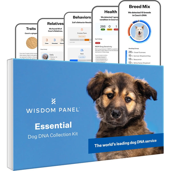 Essential, Breed Identification & Health Condition Identification, Dog DNA Test Kit