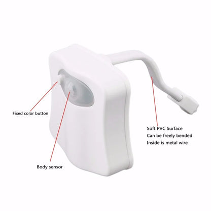 Automated Toilet Glow Light