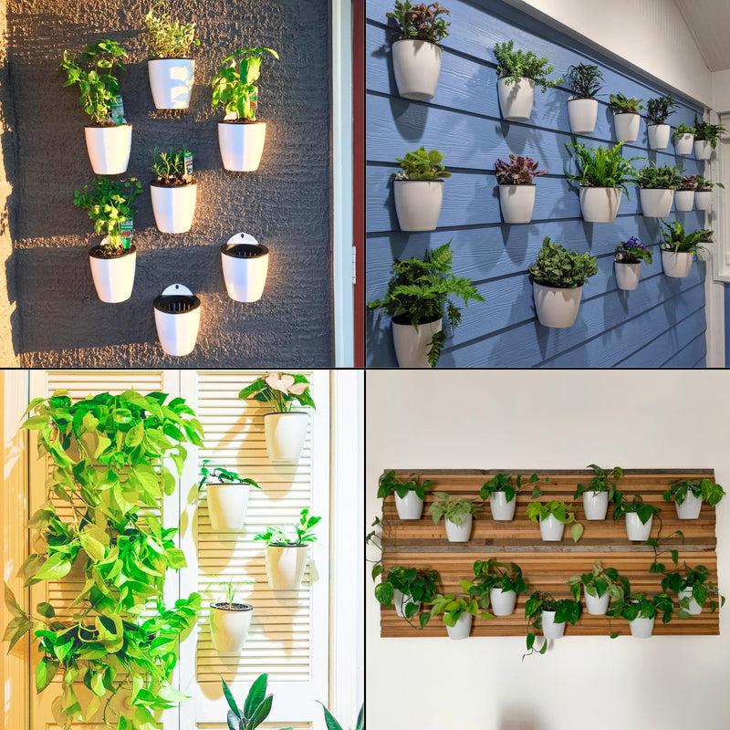 Self Watering Wall Planters for Indoor Plants 7 Pack | Outdoor Wall Planters | Medium 5 Inch with Hooks PL34