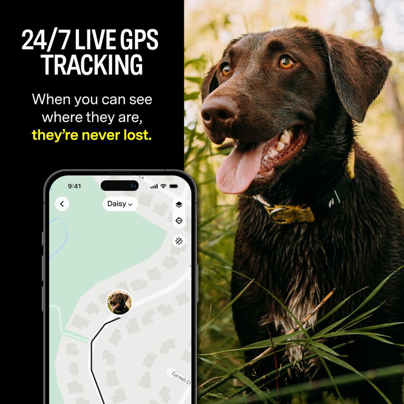 Fi Series 3 Smart Dog Collar - GPS Dog Tracker and Activity & Fitness Monitor...