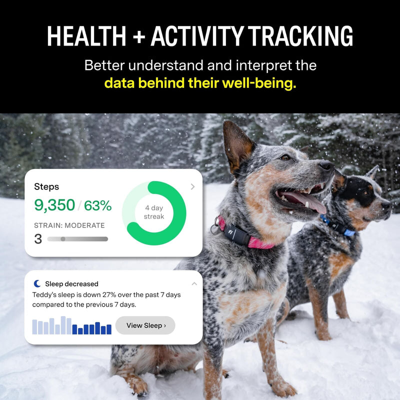 Fi Series 3 Smart Dog Collar - GPS Dog Tracker and Activity & Fitness Monitor...