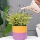 Cement Planter Flower Pot 6.1 Inches with Drainage Hole - Gradient Indoor and Outdoor Flower Pot for Orchid, Sunflowers, Bonsai, and House Plants - Unique Concrete Planter (Orange Purple)