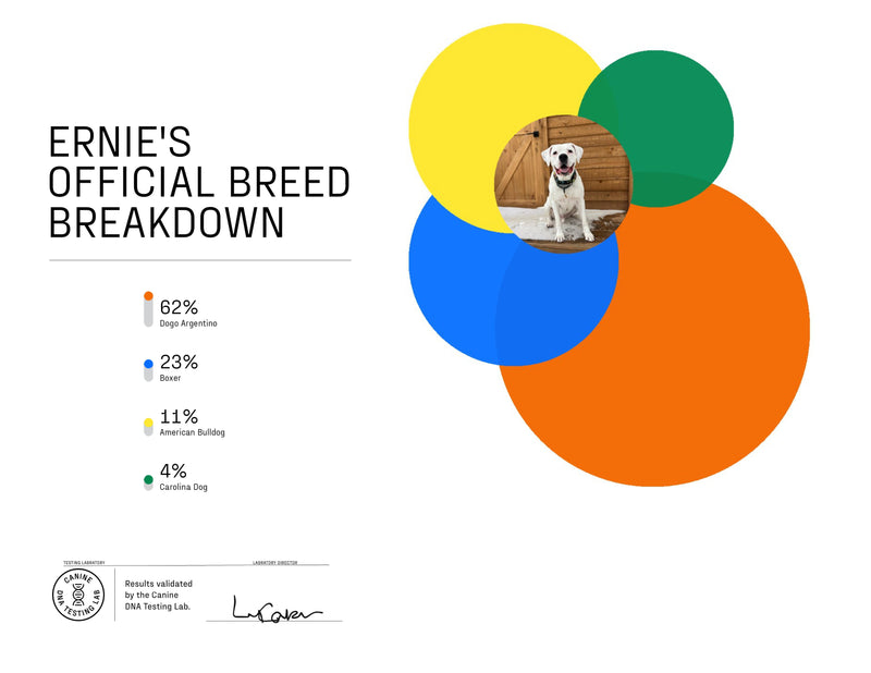 Essential Breed ID Testing Kit