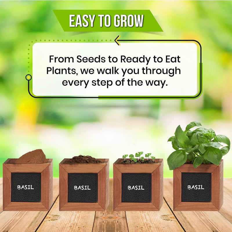 Indoor Herb Garden Kit - Includes 3 Wooden Herb Pots, Internal Drip Trays, Soil Pellets, Chalk, Instructions Booklet and Basil, Oregano & Thyme Non GMO Herb Seeds. DIY Kitchen Herbs Growing Kit.